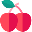 Plum アイコン 64x64