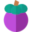 Mangosteen アイコン 64x64