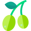 Olive アイコン 64x64