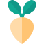 Turnip アイコン 64x64