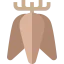 Tuber アイコン 64x64