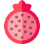 Pomegranate アイコン 64x64