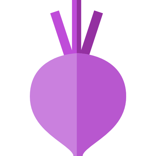 Beet icon