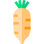 Radish アイコン 64x64