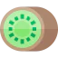 Kiwi アイコン 64x64
