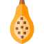 Papaya アイコン 64x64