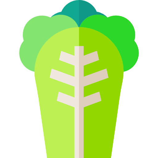 Cabbage icon