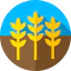 Wheat icon 64x64