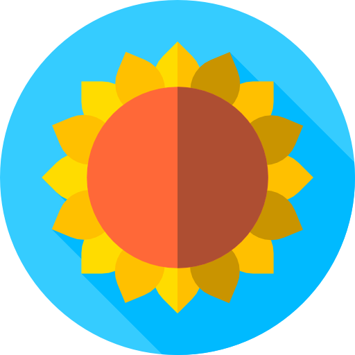Sun icon