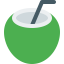 Coconut icon 64x64