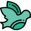 Dove icon 64x64