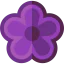 Violet icône 64x64