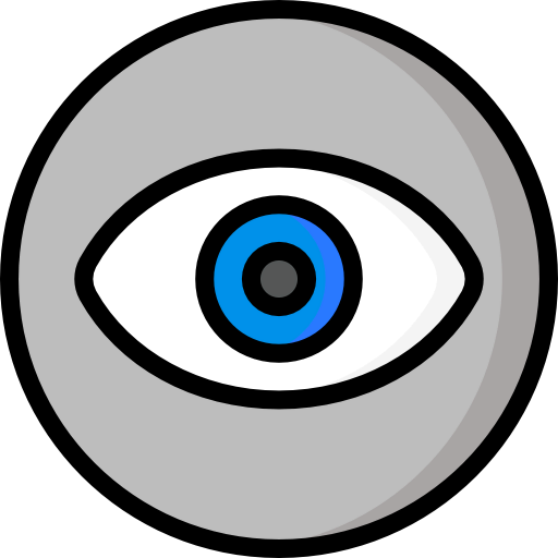 Vision icon