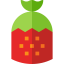 Strawberry Symbol 64x64