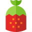 Strawberry icon 64x64