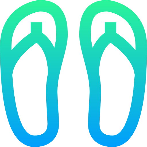 Flip flops icon