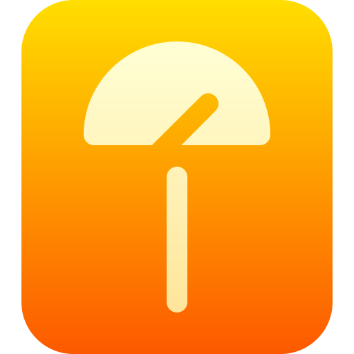 Scale icon