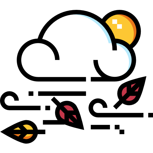 Wind icon