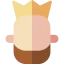 King icône 64x64