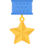 Medal icon 64x64