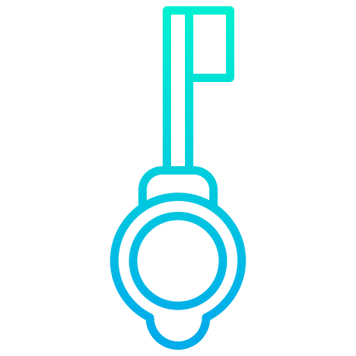 Key icon