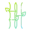 Bamboo アイコン 64x64