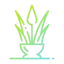 Aloe vera アイコン 64x64