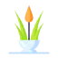 Aloe vera 图标 64x64