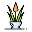 Aloe vera icon 64x64