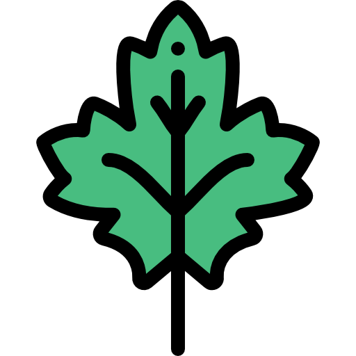 Leaf icon