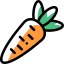 Carrot ícono 64x64