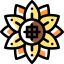 Sunflower 图标 64x64