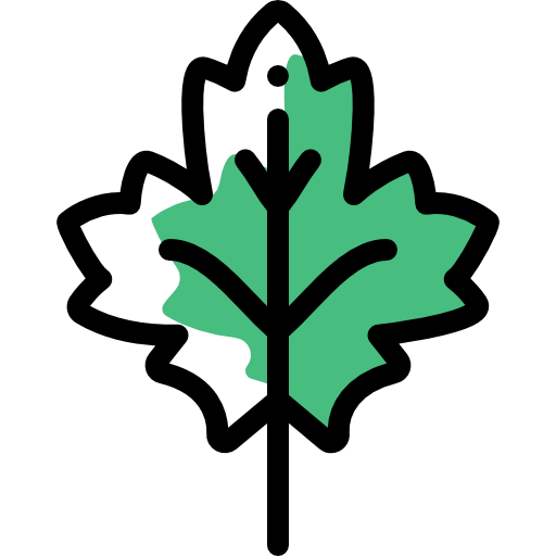 Leaf icon