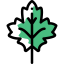 Leaf 图标 64x64