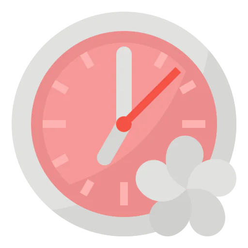 Clock icon
