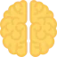 Brain icon 64x64