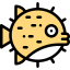 Puffer fish icon 64x64