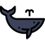 Whale icon 64x64