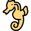 Seahorse icon 64x64