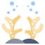 Coral icon 64x64