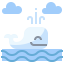 Whale icon 64x64