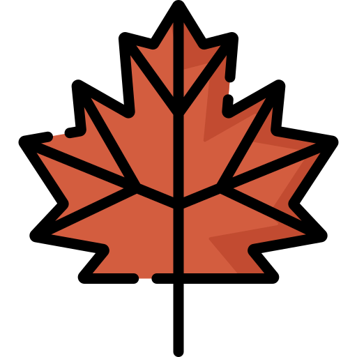 Maple leaf 상