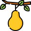 Pear icon 64x64