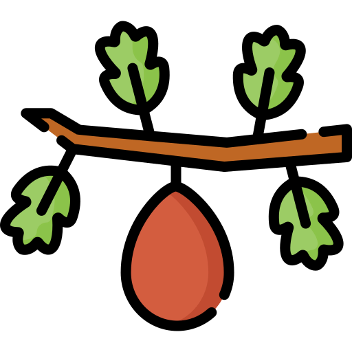 Fig icon