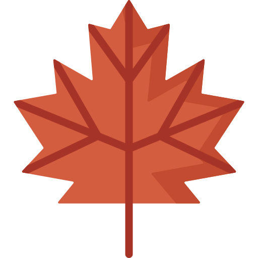 Maple leaf 상