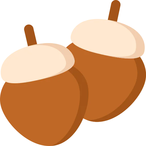 Acorn アイコン