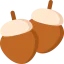 Acorn icône 64x64