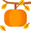 Pumpkin icône 64x64