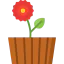 Dahlia icône 64x64