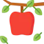 Apple icône 64x64